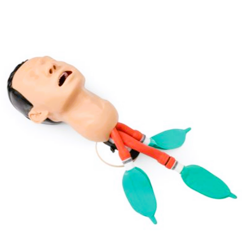 HAVAYOLU YÖNETİM MAKETİ